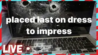 Dress to Impress Live