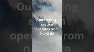 #21 Our Hearing Operates From