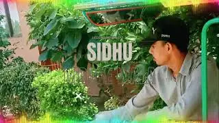 Many wyri kyndy ny 40 foti 7 sywan di mutyary