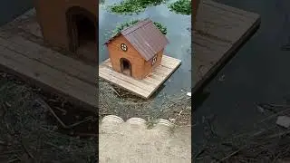 пуховский пруд в новом облике