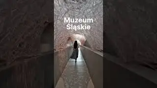 TOP 3 miejsca w #Katowice, które musisz zobaczyć! #Shorts