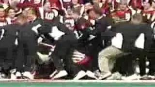 Mascot fight