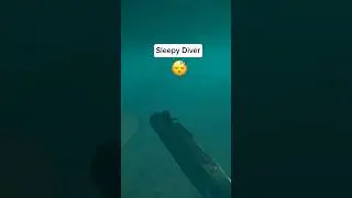 Types of players in Modern Warships