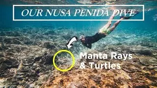 We LEFT Bali TO GO DIVING WITH MANTAS & TURTLES in Nusa Penida
