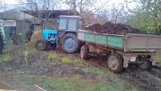 3.11.2017  МТЗ 82 тянет 8 Тонн.БУКСУЕТ.Вывоска навоза по БЕЗДОРОЖЬЮ