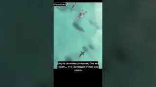 The most dangerous predator has become prey