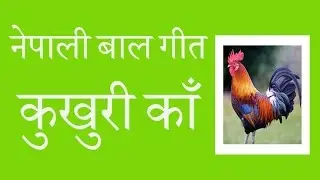 Kukhuri Kaan - कुखुरी काँ (बाल गीत)||Nepali Rhymes || khukhuri kaan || नेपाली बाल गित