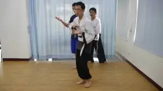 太極拳鬆身十法10：四隅方步配合手法
