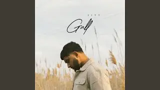 Gall