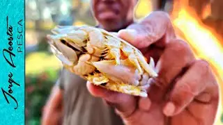 PULGAS DE MAR - PESCA CAPTURA Y COCINA @SnookMafiaa