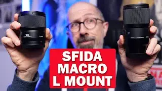 Lumix S 100mm F2.8 Macro VS Sigma 70mm F2.8 DG Macro: SFIDA MACRO L MOUNT!