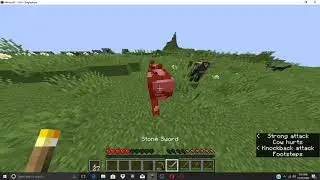 Awsum supa kool minequaf vidyo