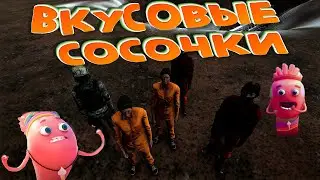 Вкусовые Сосочки Реклама