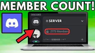 How To Setup Member Count Bot On Discord 2024
