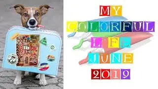 My Colorful Life June 2019