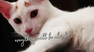 Everything Will Be Alright - (Original Song) Lyric Video