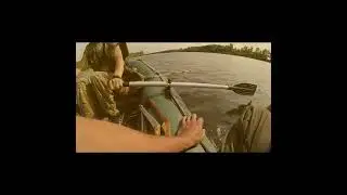 СОМ ОТРЕАГИРОВАЛ НА ЗВУК КВОКА!!! ПОДВОДНАЯ СЪЁМКА! РЫБАЛКА НА СОМА С КВОКОМ! 
