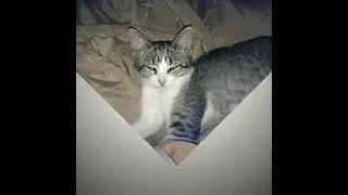 Ms Litte Bits