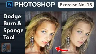 Dodge, Burn and sponge Tool Exercise No. 13 | Photoshop for Beginners | YN Tutor