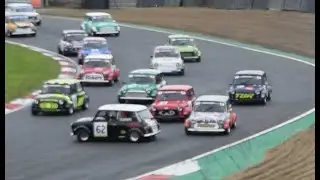Mini Miglia 2021 at Brands Hatch Red Flag Crash