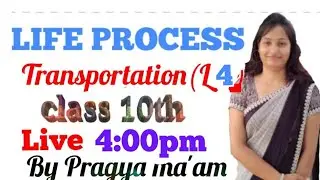 Transportation( L -4) :Life Processes Class 10th -Live By Pragya ma'am