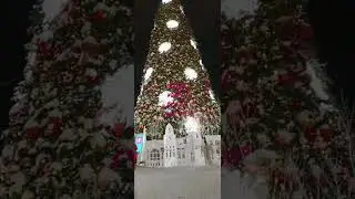 20 декабря 2022 г.