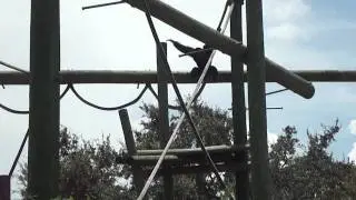 Serious Upper Body Strength