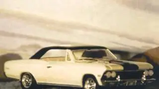 SS 396 - Paul Revere and the Raiders