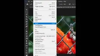 Remove Fence in Photoshop