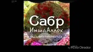 Охир аз карда пушаймон гаштаем...