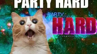 party hard-опасно просрал