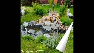 Saniglandia*****