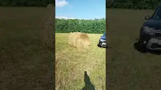 #рекомендации