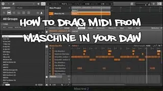 How to Drag Midi or Audio Clip out of Machine into DAW - Maschine Tutorials