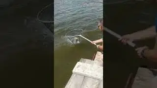 Рыбалка на плоту