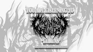 Bring Me The Horizon - Ludens (Cover)