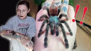 BonBon ESCAPED and I am NOT surprised!.. Arboreal tarantula rehousing
