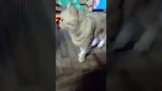 дорогу пидагогу!