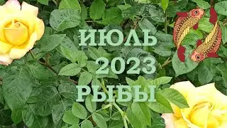 РЫБЫ | Послания Вселенной на ИЮЛЬ 2023 года | ЖЕЛАНИЕ | ТАРО расклад