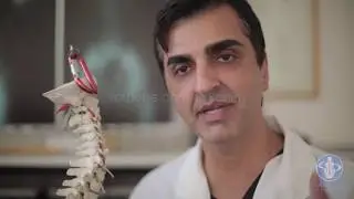The Spine, Nervous System, Chiropractic and Gonstead with Dr. Rahim - Part 2