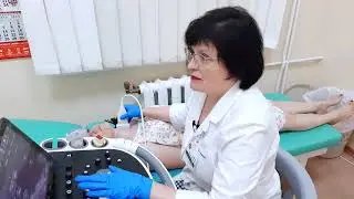 Мобильный ультразвуковой сканер Epiq 5- ультразвуковая система премиум-класса