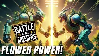 Flower Power! Battle Of The Breeders Update