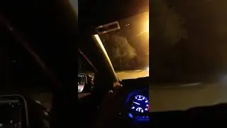 22 августа 2024 г.