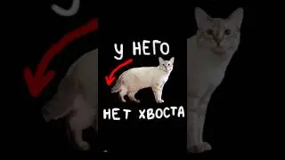 Вы знали???😱
