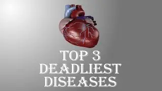 Top 3 Deadliest Diseases