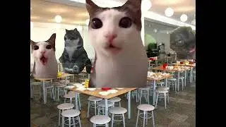 СБОРНИК Популярных видео