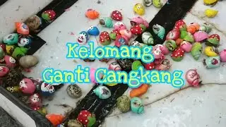 KAPAN KELOMANG GANTI CANGKANG