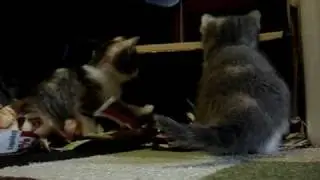 MOV04500