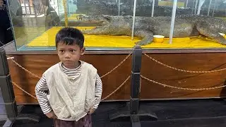 Sangatta Crocodile at the Tuah Himba Tenggarong Wood Museum
