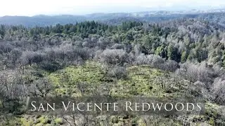 New Trails Open at San Vicente Redwoods